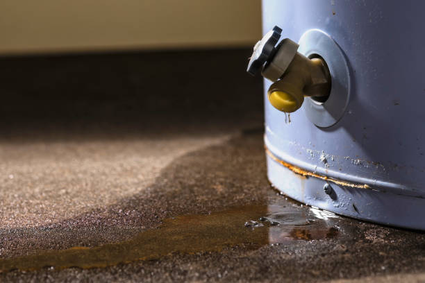Best Water damage restoration near me  in Greenlawn, NY
