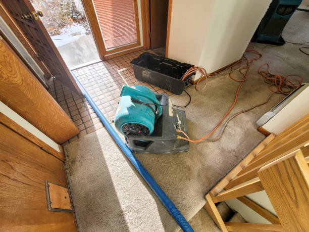Best Basement water damage restoration  in Greenlawn, NY