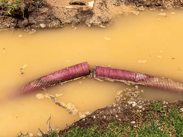 Best Flood restoration services  in Greenlawn, NY