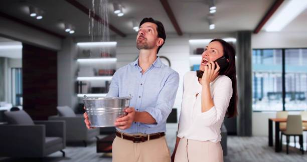 Best Residential water damage restoration  in Greenlawn, NY